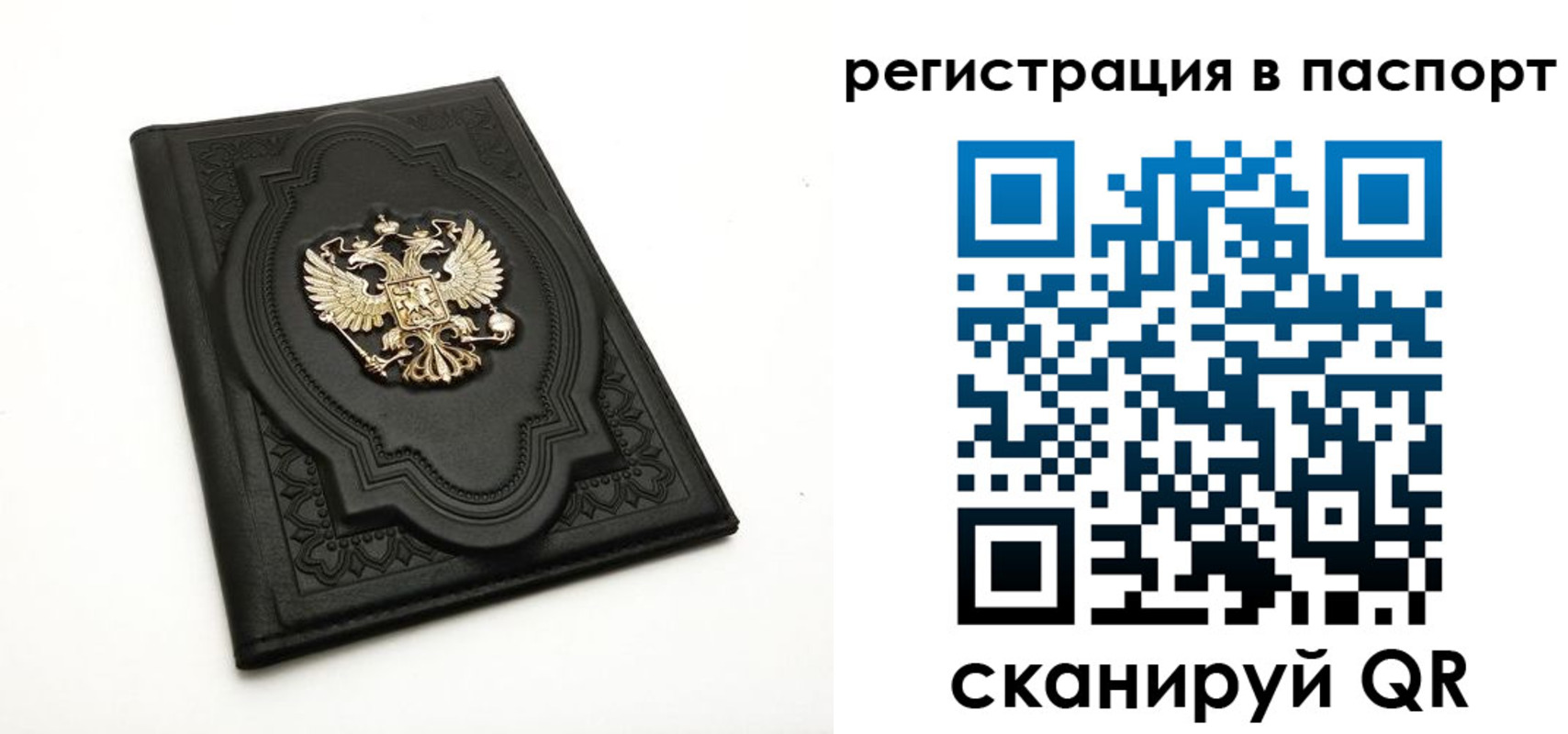 прописка регистрация в Ясном