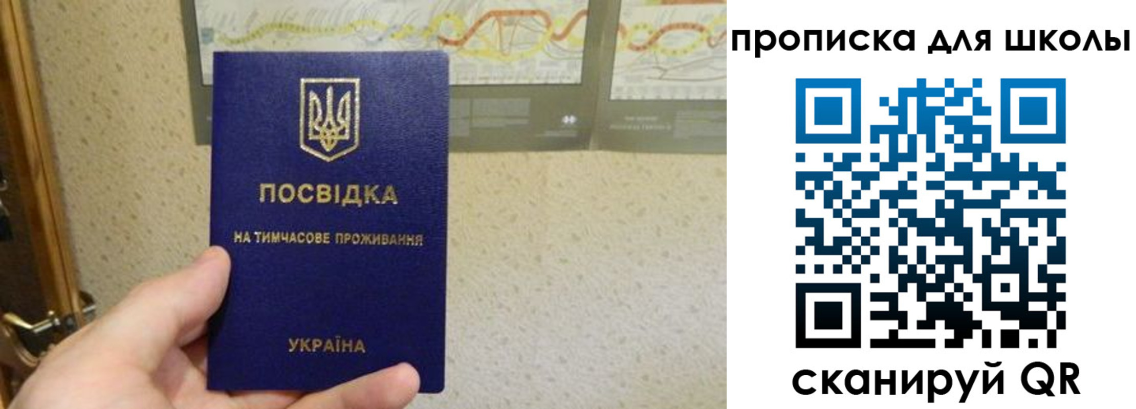 найти адрес прописки в Ясном